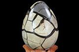 Septarian Dragon Egg Geode - Black Crystals #72003-3